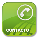 Contacto